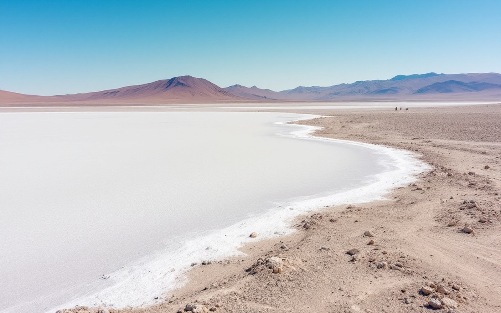A large pale salt lake on an empty high plain with a white mineral crust at its edge